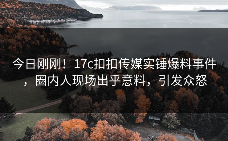 今日刚刚！17c扣扣传媒实锤爆料事件，圈内人现场出乎意料，引发众怒
