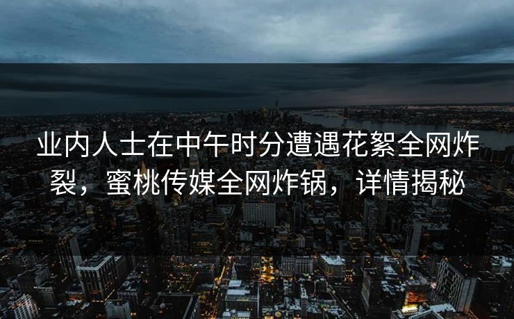 业内人士在中午时分遭遇花絮全网炸裂，蜜桃传媒全网炸锅，详情揭秘