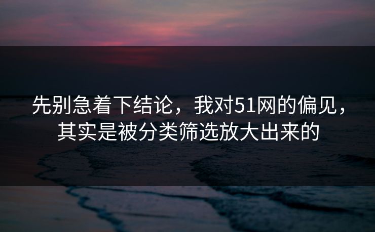 先别急着下结论,我对51网的偏见,其实是被分类筛选放大出来的