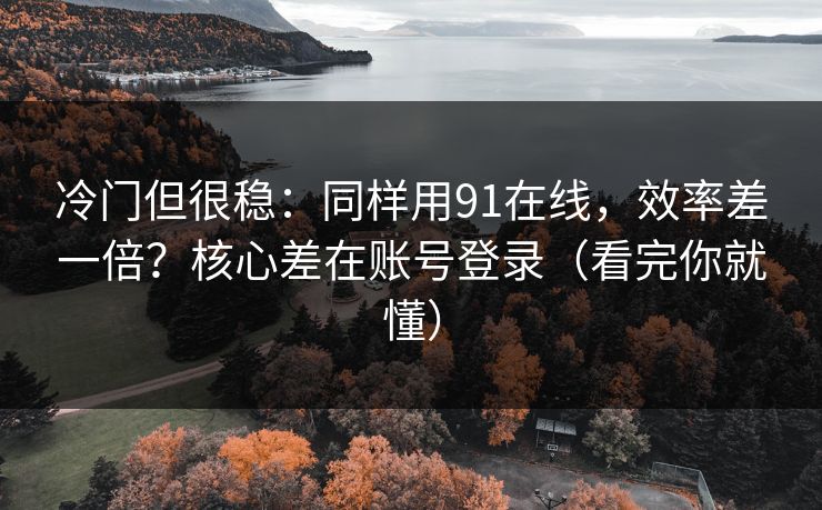 冷门但很稳：同样用91在线，效率差一倍？核心差在账号登录（看完你就懂）